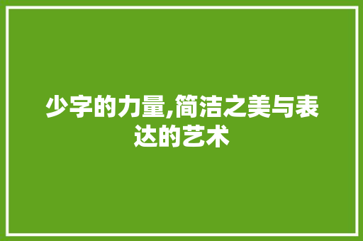 少字的力量,简洁之美与表达的艺术 会议纪要