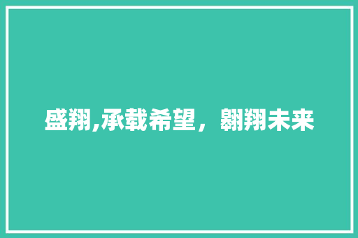 盛翔,承载希望，翱翔未来