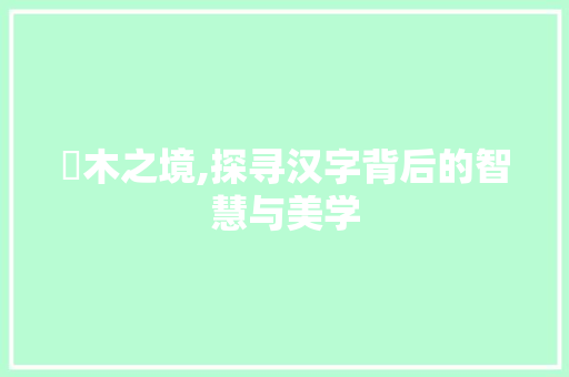 睱木之境,探寻汉字背后的智慧与美学
