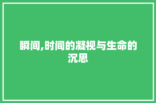 瞬间,时间的凝视与生命的沉思