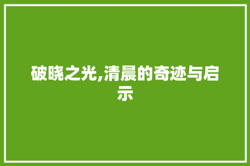 破晓之光,清晨的奇迹与启示