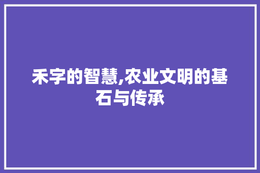 禾字的智慧,农业文明的基石与传承 诗词应用