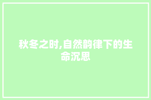 秋冬之时,自然韵律下的生命沉思