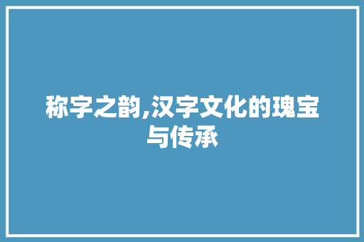 称字之韵,汉字文化的瑰宝与传承