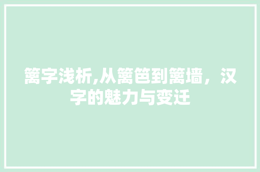 篱字浅析,从篱笆到篱墙，汉字的魅力与变迁 会议纪要