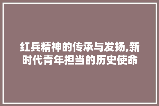 红兵精神的传承与发扬,新时代青年担当的历史使命