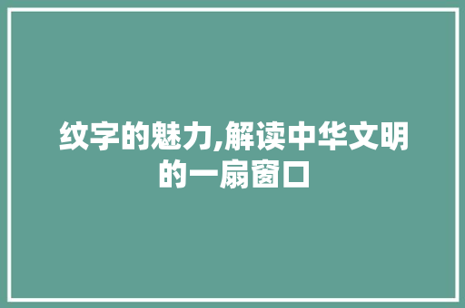 纹字的魅力,解读中华文明的一扇窗口