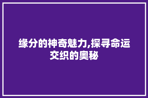 缘分的神奇魅力,探寻命运交织的奥秘
