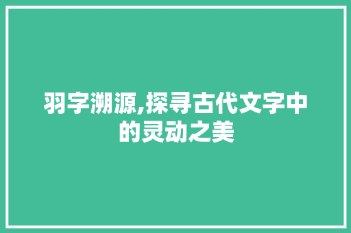 羽字溯源,探寻古代文字中的灵动之美