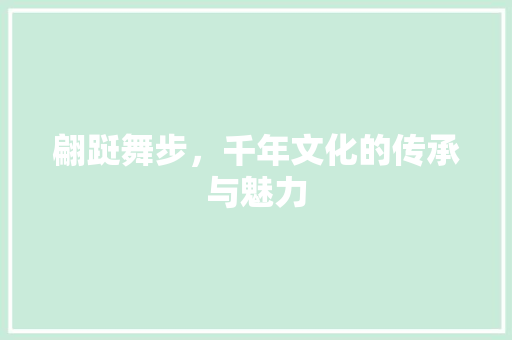 翩跹舞步，千年文化的传承与魅力
