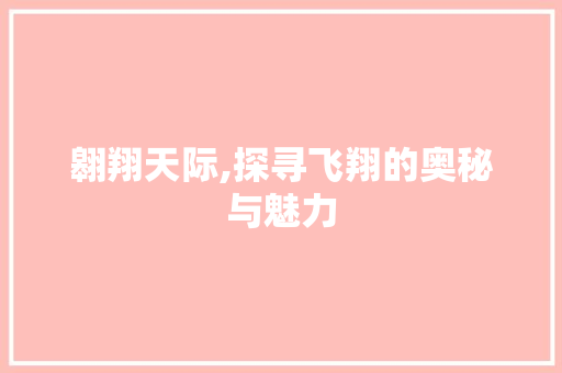 翱翔天际,探寻飞翔的奥秘与魅力