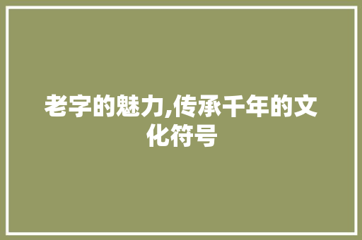 老字的魅力,传承千年的文化符号