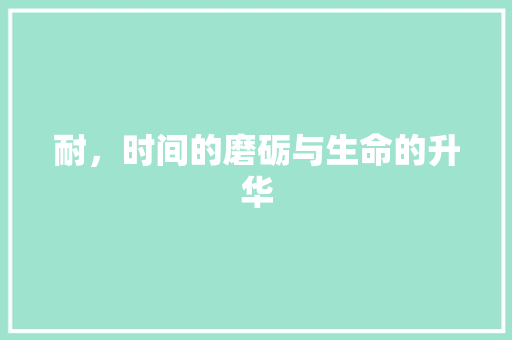 耐，时间的磨砺与生命的升华