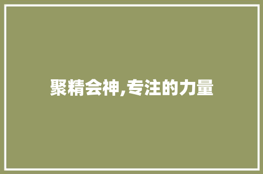 聚精会神,专注的力量 应用文