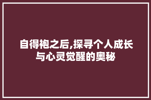 自得袍之后,探寻个人成长与心灵觉醒的奥秘 工作总结