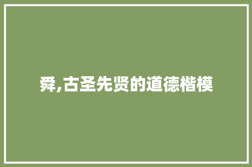 舜,古圣先贤的道德楷模 工作总结