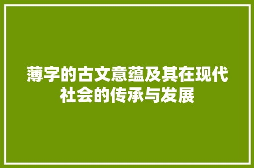 薄字的古文意蕴及其在现代社会的传承与发展 会议纪要
