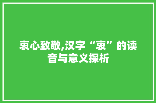 衷心致敬,汉字“衷”的读音与意义探析