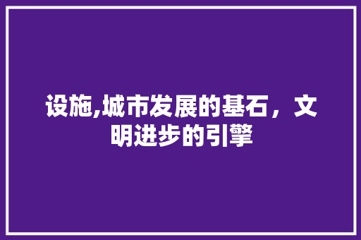 设施,城市发展的基石，文明进步的引擎