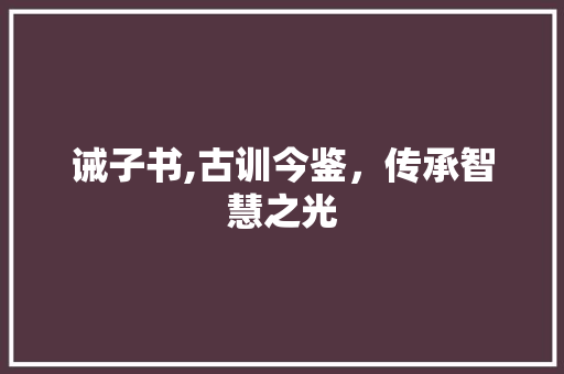 诫子书,古训今鉴，传承智慧之光 工作总结