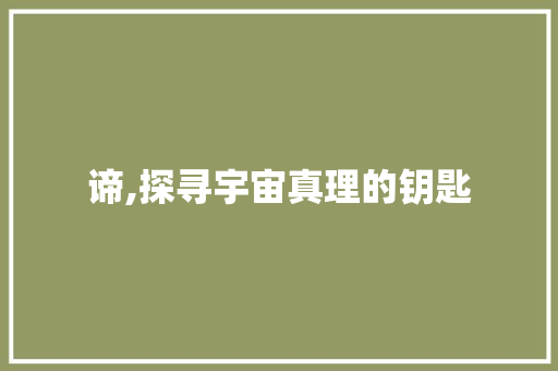 谛,探寻宇宙真理的钥匙