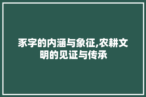 豕字的内涵与象征,农耕文明的见证与传承