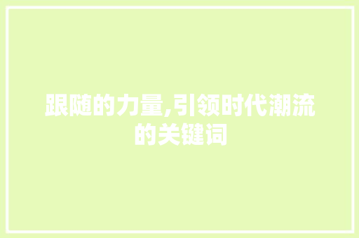 跟随的力量,引领时代潮流的关键词 工作总结