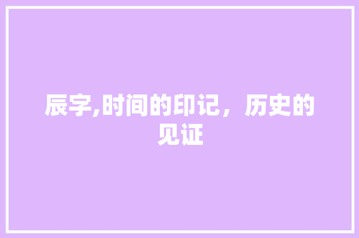 辰字,时间的印记，历史的见证