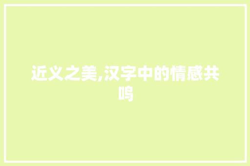 近义之美,汉字中的情感共鸣