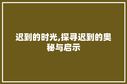 迟到的时光,探寻迟到的奥秘与启示
