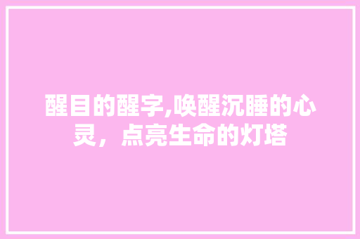 醒目的醒字,唤醒沉睡的心灵，点亮生命的灯塔 职场写作