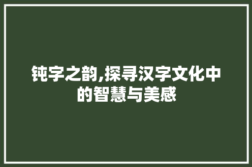 钝字之韵,探寻汉字文化中的智慧与美感