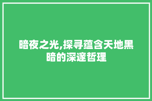 暗夜之光,探寻蕴含天地黑暗的深邃哲理 诗词应用