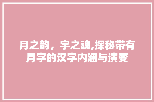 月之韵，字之魂,探秘带有月字的汉字内涵与演变 工作总结