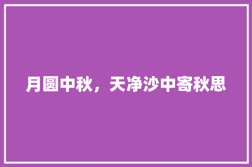 月圆中秋，天净沙中寄秋思