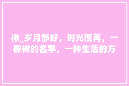 楸_岁月静好，时光荏苒，一棵树的名字，一种生活的方法
