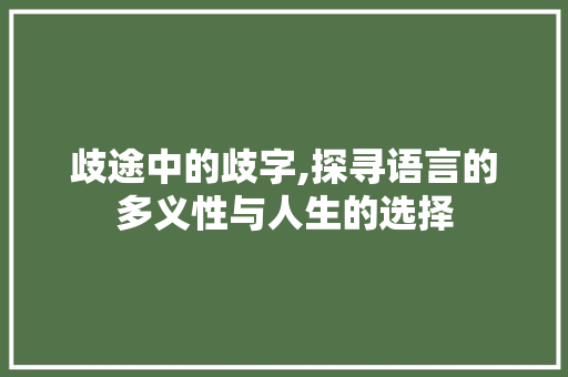 歧途中的歧字,探寻语言的多义性与人生的选择 项目报告