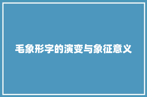 毛象形字的演变与象征意义
