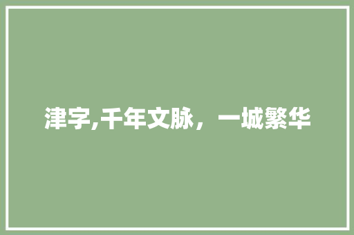 津字,千年文脉，一城繁华