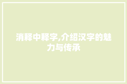 消释中释字,介绍汉字的魅力与传承
