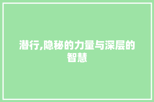 潜行,隐秘的力量与深层的智慧