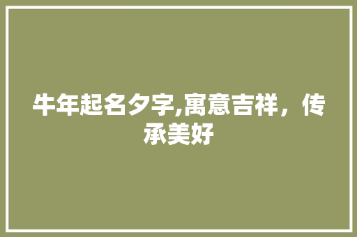 牛年起名夕字,寓意吉祥，传承美好