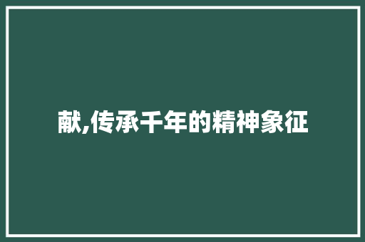 献,传承千年的精神象征 项目报告
