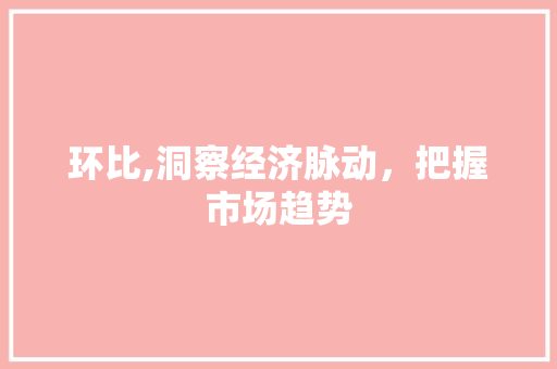 环比,洞察经济脉动，把握市场趋势