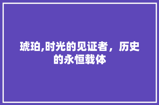 琥珀,时光的见证者，历史的永恒载体 诗词鉴赏