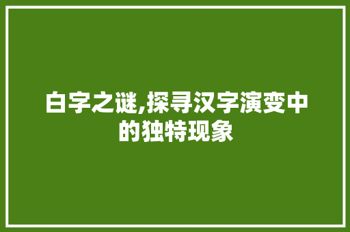 白字之谜,探寻汉字演变中的独特现象 应用文
