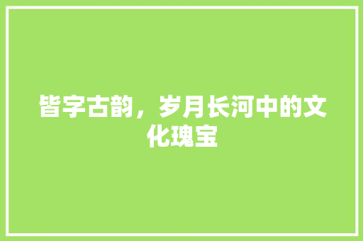 皆字古韵，岁月长河中的文化瑰宝 职场写作