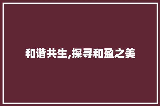 和谐共生,探寻和盈之美