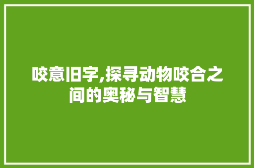 咬意旧字,探寻动物咬合之间的奥秘与智慧