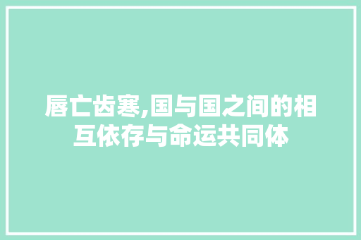 唇亡齿寒,国与国之间的相互依存与命运共同体